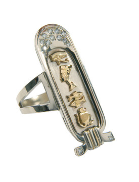 金耳環(huán)
