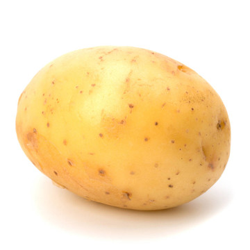 新土豆