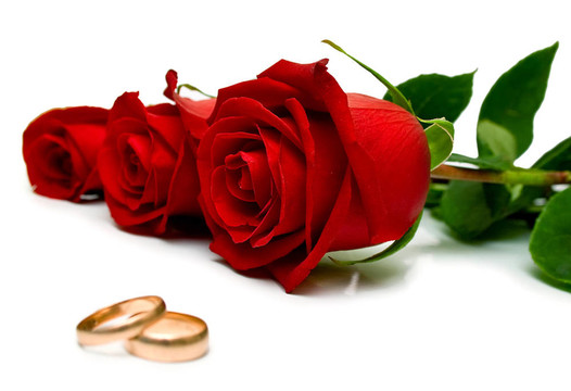 結(jié)婚戒指和紅玫瑰