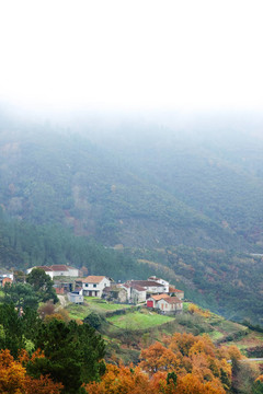 山地景觀
