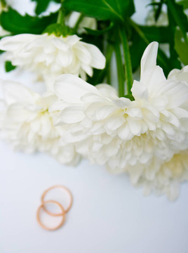 結(jié)婚戒指和白菊花