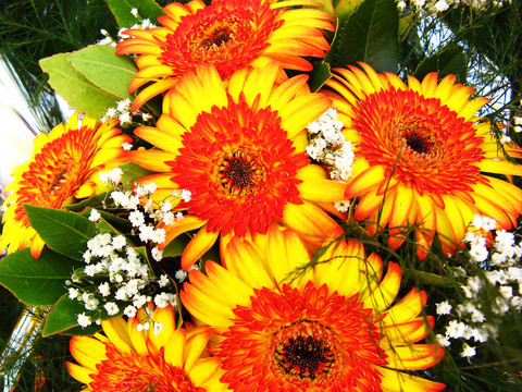 花