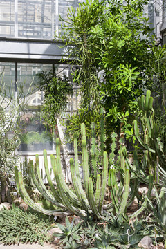 植物園的那slupi；布拉格；捷克共和國(guó)