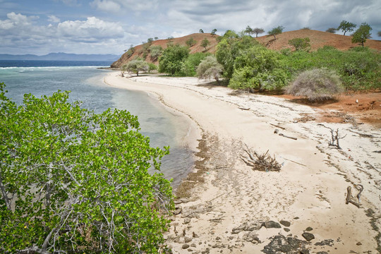 Seraya島；印度尼西亞