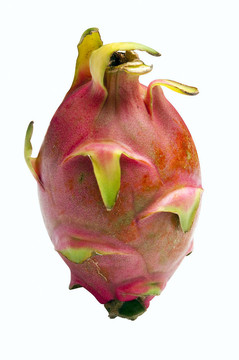 火龍果-火龍果或pitahaya -裁剪路徑