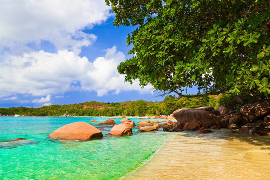 Anse Lazio在塞舌爾海灘島普拉蘭島；