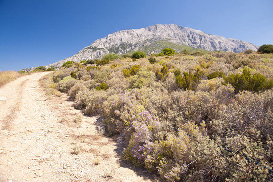 景觀在Samos