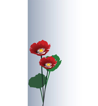 分隔開的