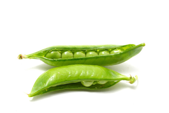 豌豆