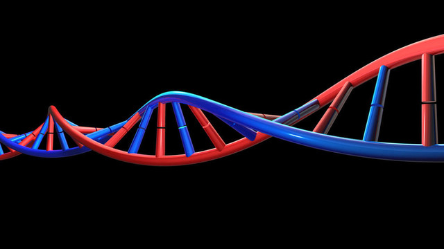 DNA