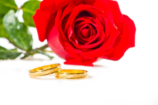 紅玫瑰和結(jié)婚戒指的白色