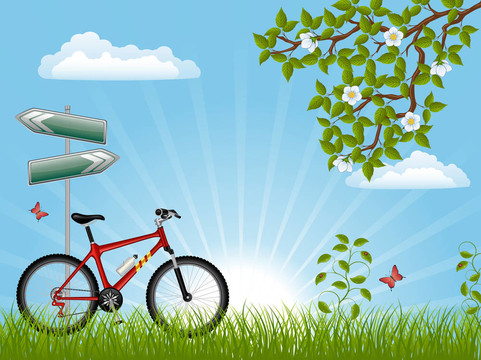 夏季景观与自行车