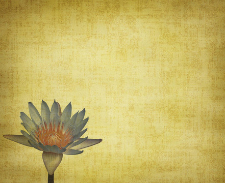 蓮花集抽象背景畫