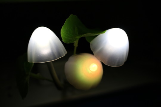 阿凡達(dá)七彩小夜燈