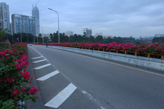 公路綠化