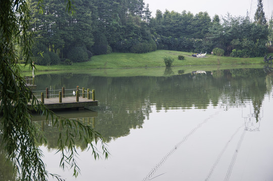 水岸