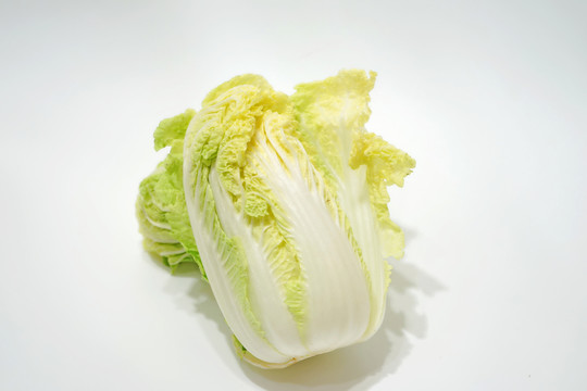 一棵大白菜
