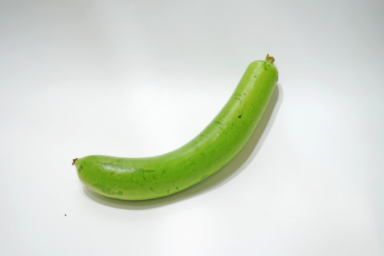 瓠子 瓠瓜