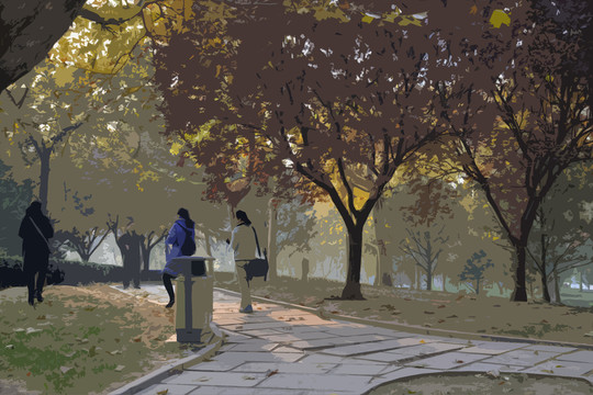 公園道路