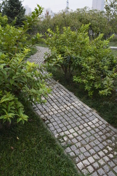 公園道路
