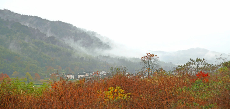 遠山云霧