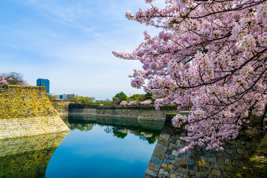 日本景觀