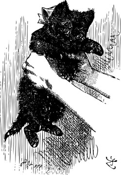 Alice Shakes的紅色小貓-透過(guò)玻璃和什么愛(ài)麗絲發(fā)現(xiàn)有原書雕刻