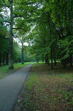 公園里的路