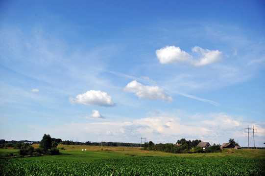 夏天的風(fēng)景