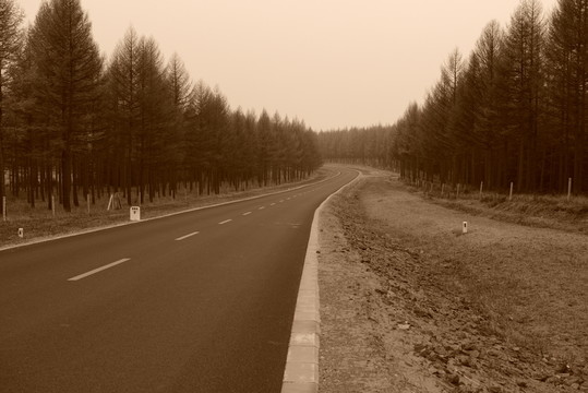 森林公路