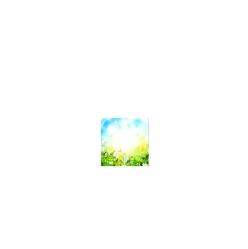 草地
