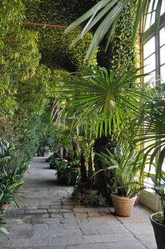 植物園
