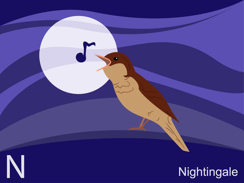 動物字母表；N為夜鶯