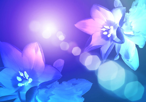 花卉背景插圖