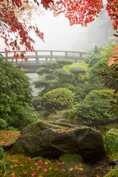 日本花园的岩桥