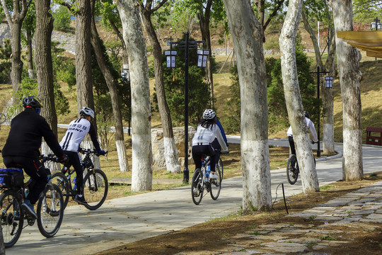 自行車隊穿越公園樹林