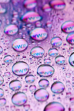 WWW的水珠