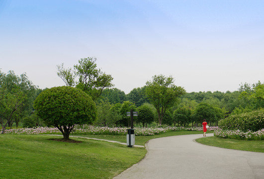 城市公園 公共綠地