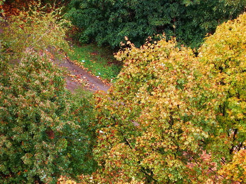 autumnn的顏色。