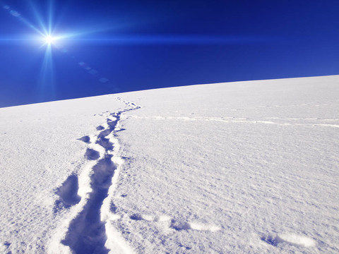 陽光和白雪