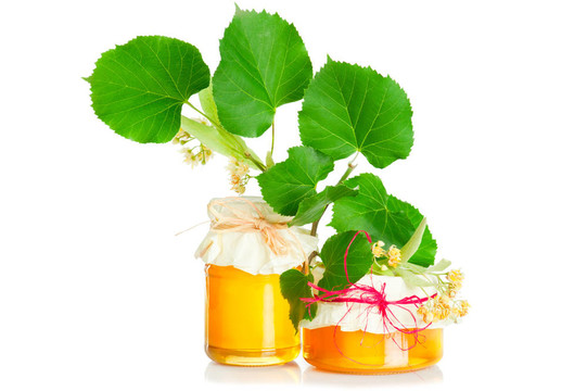 蜂蜜和菩提樹