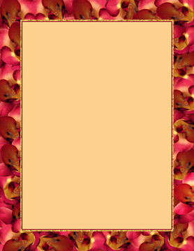 小蒼蘭花固定