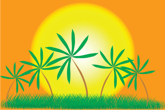 棕櫚樹與夏季日落