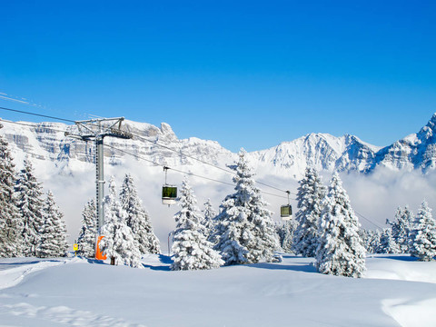 滑雪坡