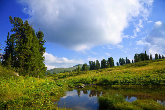 山水山水