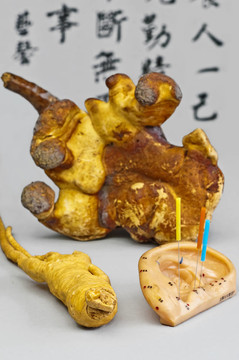 針灸針；人參、Reishi mushroom