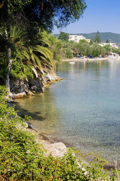 觀對(duì)Messonghi