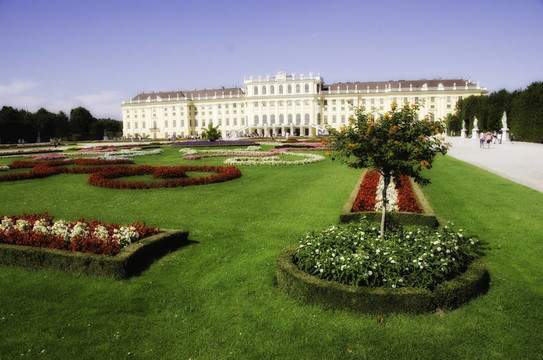 花園和花在Schonbrunn Castle