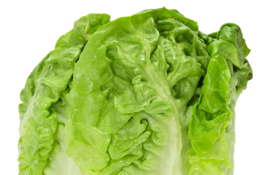 生菜的心