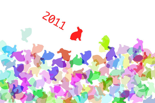 2011；日本兔年